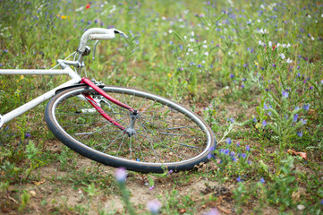 Fototapeta na wymiar Bicycle in a meadow