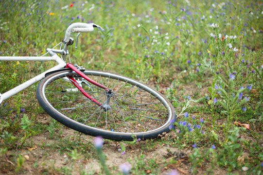 Bicycle in a meadow