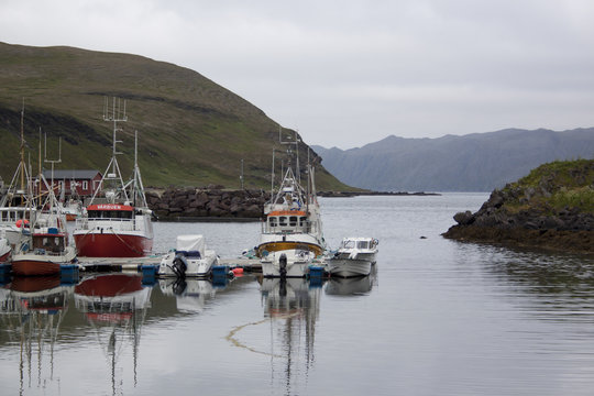 Hafen Kam&oslash;yv&aelig;r