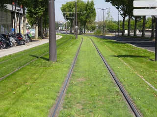 Green tram tracks