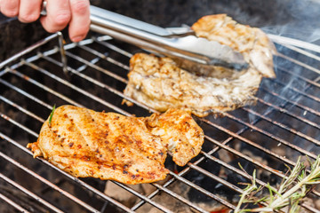 grilled chicken