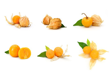 Collection of Cape gooseberry fruit