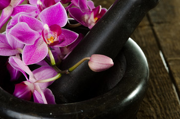 orchidee mit stößel