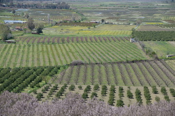 Felder bei Selcuk, Türkei