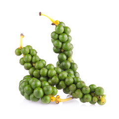 green color black pepper on white background