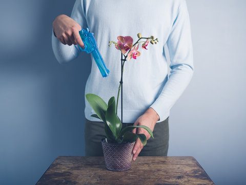 Man watering orchid with water pistol