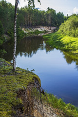 Fototapeta na wymiar Landscape background small forest river with forest on the banks