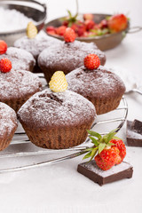Chocolate muffins
