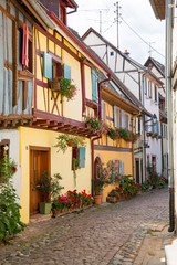 Fototapeta na wymiar Nahe Eguisheim mit Strasse