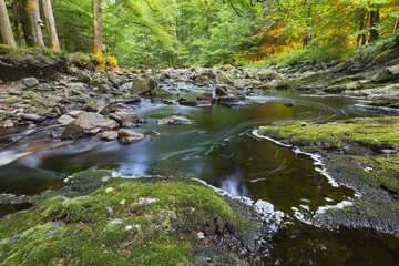 Fototapeta premium Mountain Stream In Evening Light