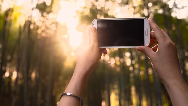 Woman holding her smartphone up to the sunset through forest to take a picture or video in slow motion