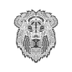 Zentangle stylized lion head
