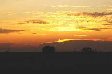 Fototapeta na wymiar sunset, landscape with tree