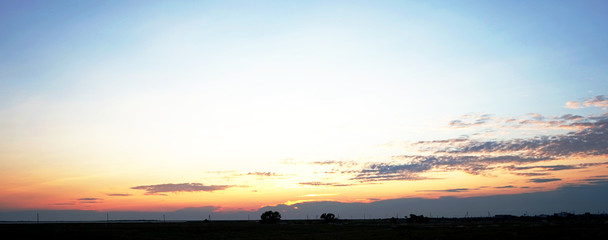 Naklejka premium sunset, landscape with tree