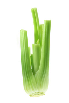 Bunch of Celery