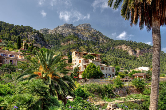 Tramuntana Gebirge Mallorca Estellencs