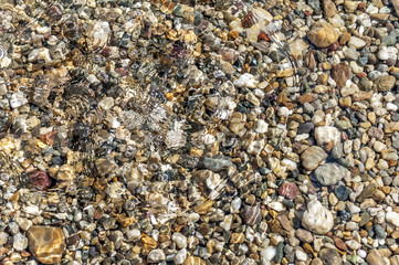 Stones on beach and sea water in sunset light