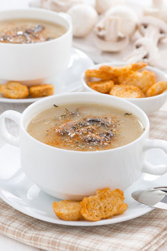 mushroom soup puree with croutons in bowl