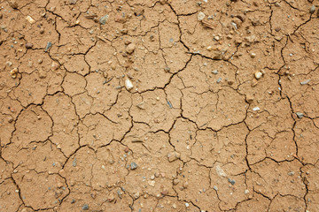Dry cracked ground filling the frame as background