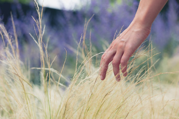 Young female hand touching grass outside