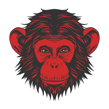 Red monkey head