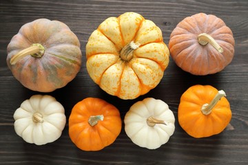 Squash and pumpkins