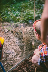 Leopard cub and kids at the zoo © zingiber