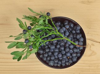 wild berries of bilberry