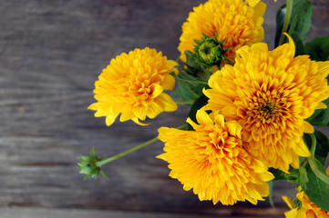 beautiful bouquet of Yellow Chrysanthemum 