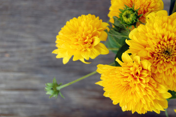 beautiful bouquet of Yellow Chrysanthemum 