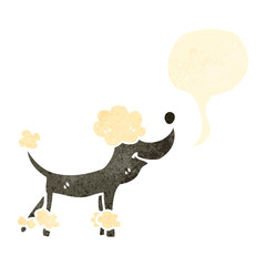 retro cartoon poodle with speech bubble