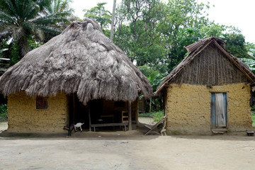 Fototapeta na wymiar mud huts in a typical african village