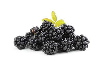 Blackberries isolated on a white