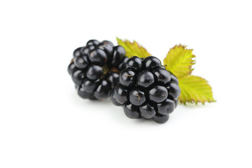 Blackberries isolated on a white