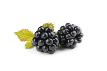 Blackberries isolated on a white