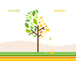 Obraz premium Summer autumn