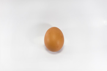 Egg isolated