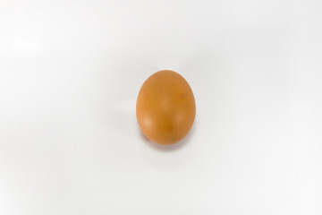 Egg isolated