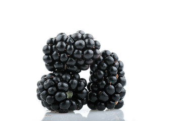 Blackberry fruit on white Background