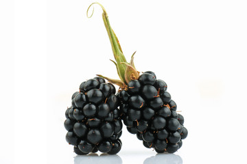 Blackberry fruit on white Background