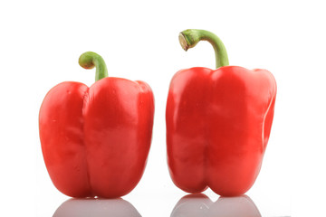Red Paprika on white Background
