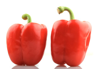 Red Paprika on white Background
