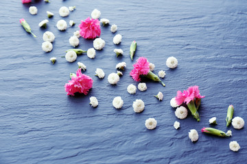 Beautiful small wild flowers on wooden background