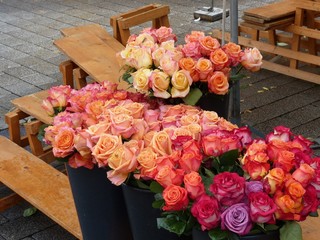 Rosen in verschiedenen Rottönen auf alten Holzbänken an einem Blumenstand auf dem Wochenmarkt in Gießen an der Lahn in Hessen