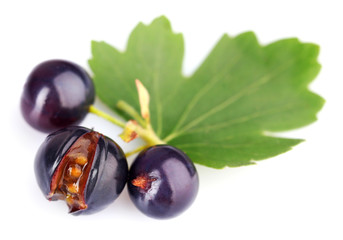 Fresh black currant isolated on white