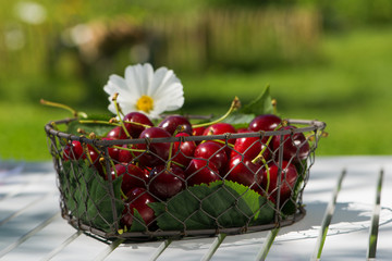 Kirschen im Herzkorb