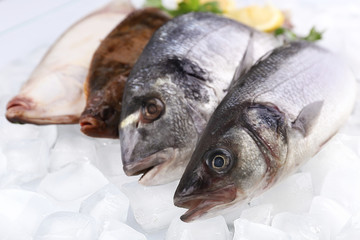 Fresh fishes with lemon on ice background