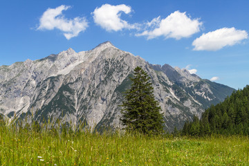 Fototapeta premium Alpine Meadow with Mountain Range in Background. Austria, Tirol.