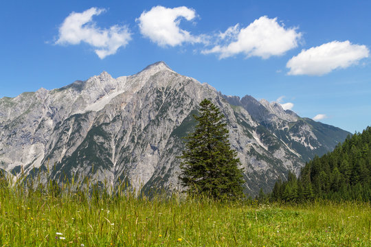 Alpine Meadow with Mountain Range in Background. Austria, Tirol.