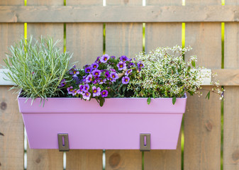 Flower pot hanging on wooden fence